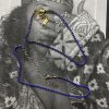 BLUELET ANKLET - Image 2