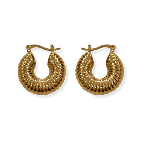 AMARENA EARRINGS - Image 1