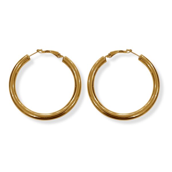 ZOEANNA  EARRINGS - Image 1