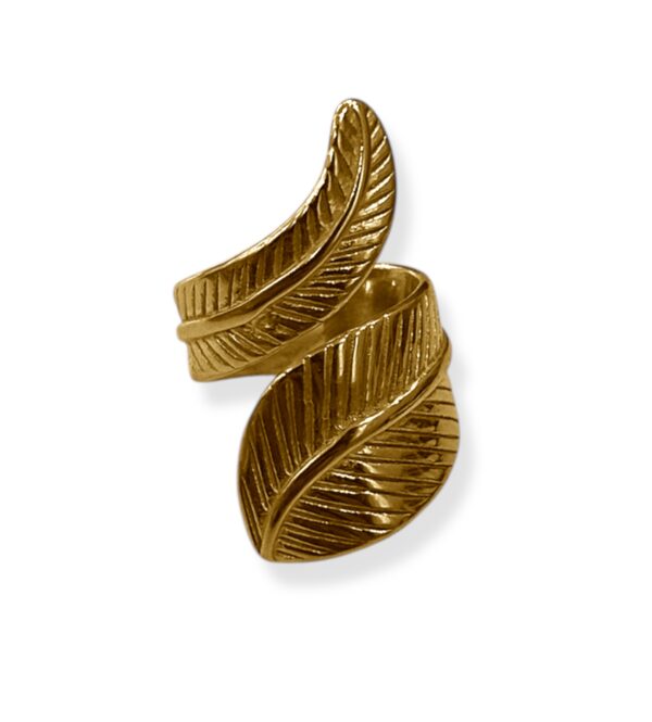 ALEGGRY RING - Image 1