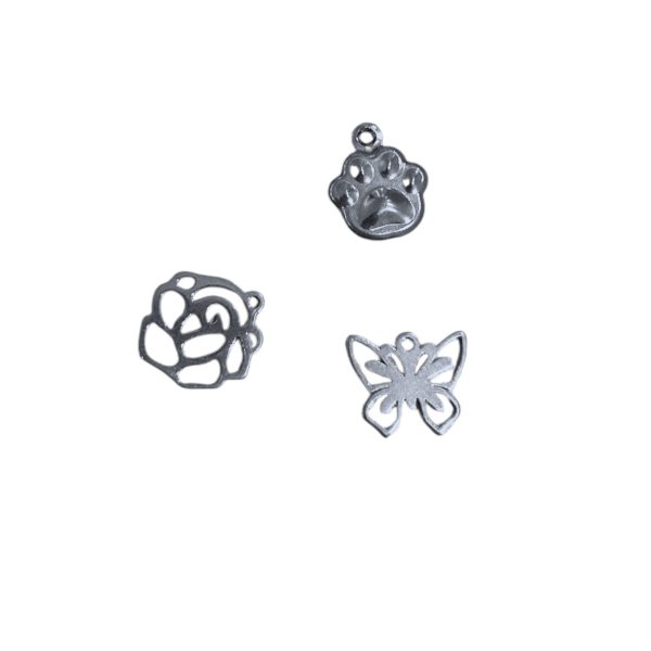 SILVER CHARMS