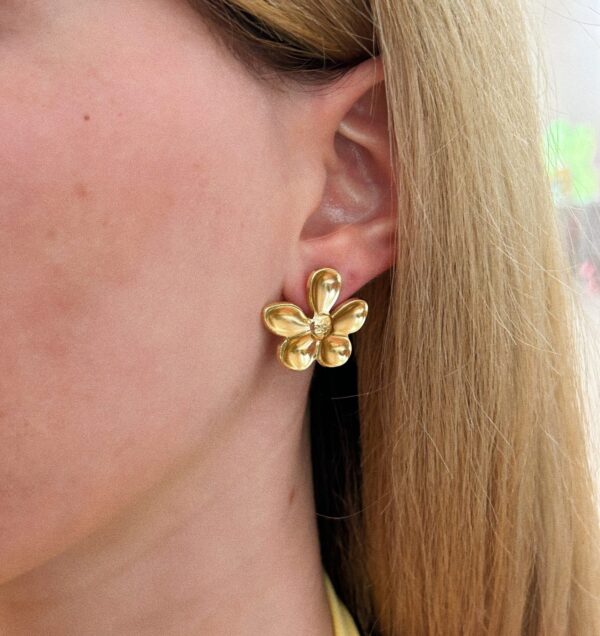 ALIAN EARRINGS - Image 3