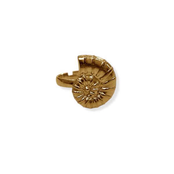 OCEAN RING