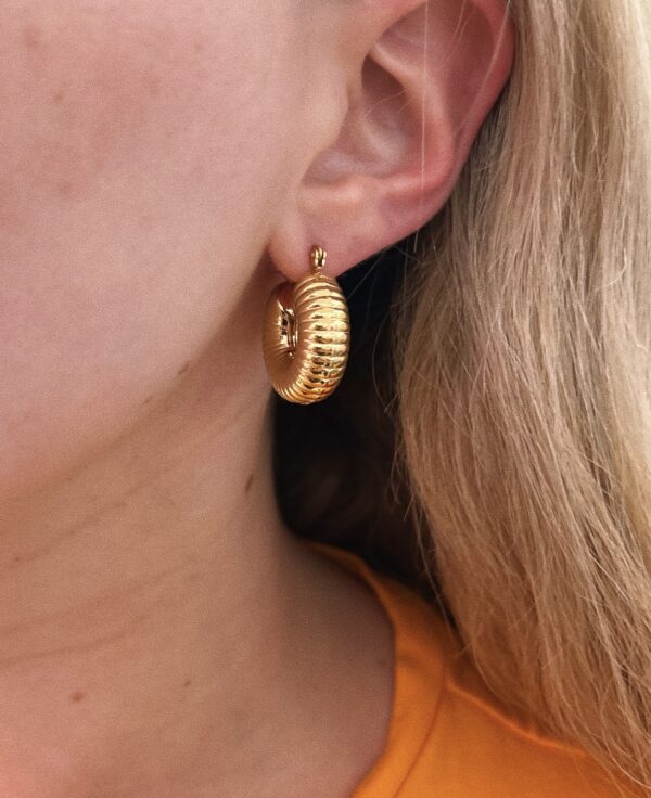 AMARENA EARRINGS - Image 2